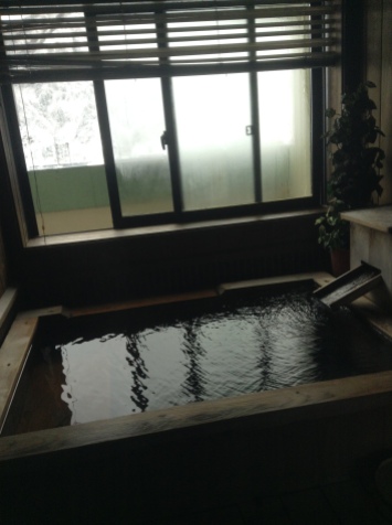 private onsen in the room
